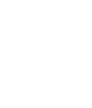 SK Consulting